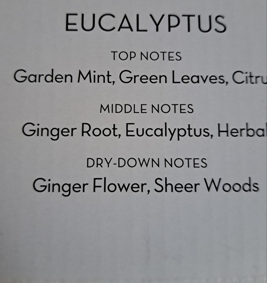 NEW Simply Indulgent Eucalyptus Soy Candle Size 14oz. - Picture 5 of 6